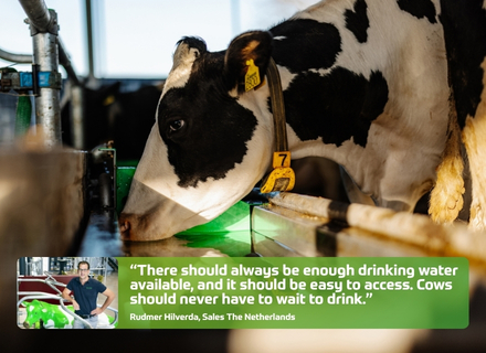 Quote Rudmer: &ldquo;There should always be enough drinking water available, and it should be easy to access. Cows should never have to wait to drink.&rdquo;