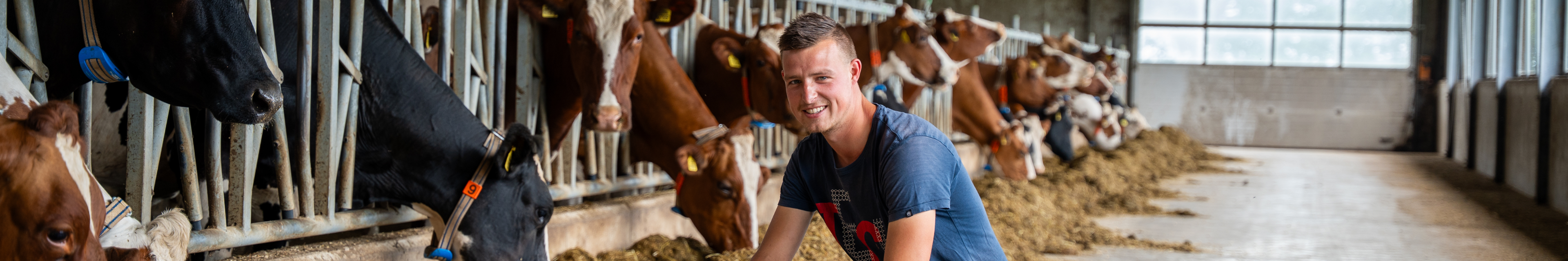 Dairy farm Jansen Holleboom
