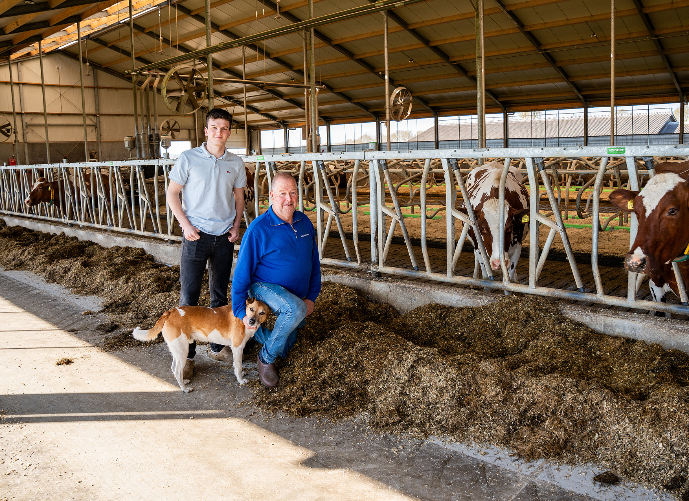 Dairy farm Van Ginkel, Renswoude