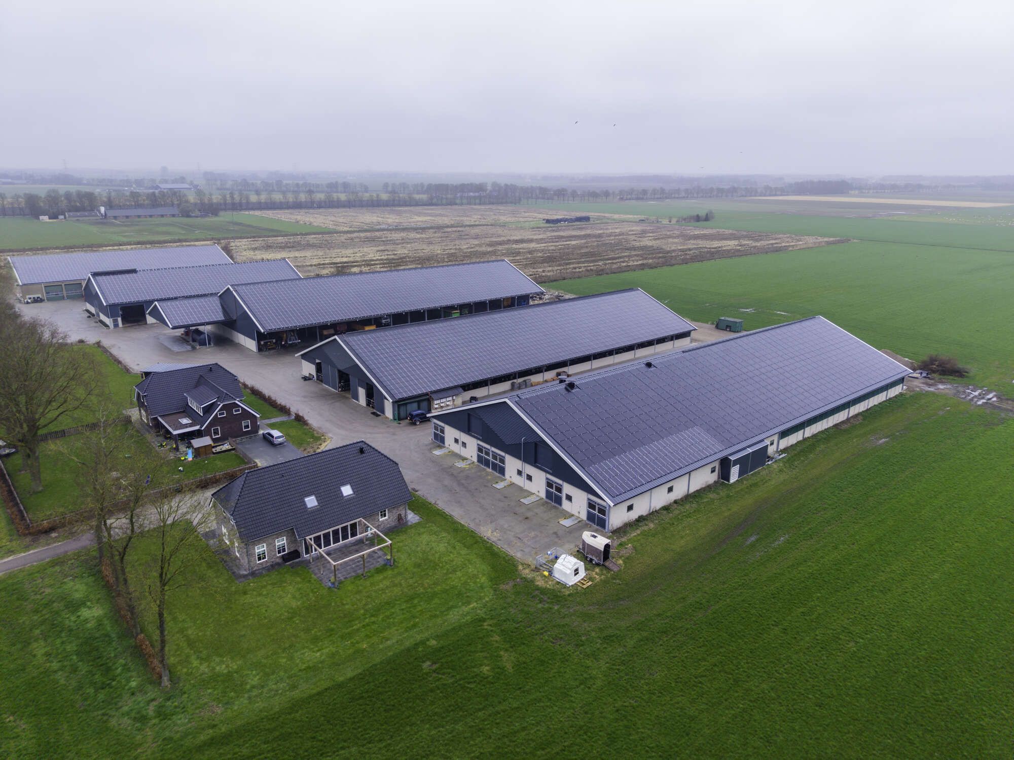 Youngstock barn Vroege